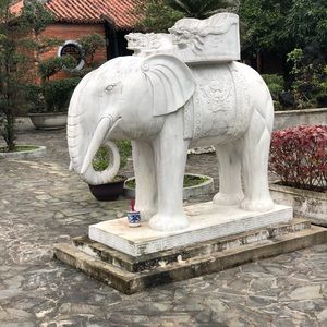 Meet your Posher, Quang